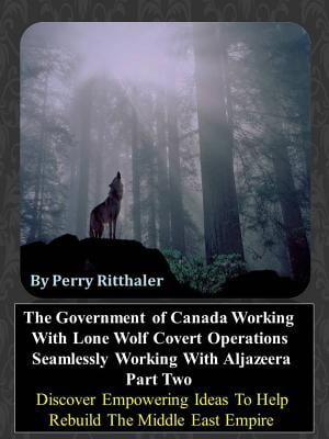 The 20th Century Cyber War Zone Operations Part One